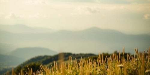 Storage NAS no agronegócio: como apoiar sistemas de gestão, operação e monitoramento de agricultura